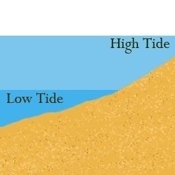 SFBayTide