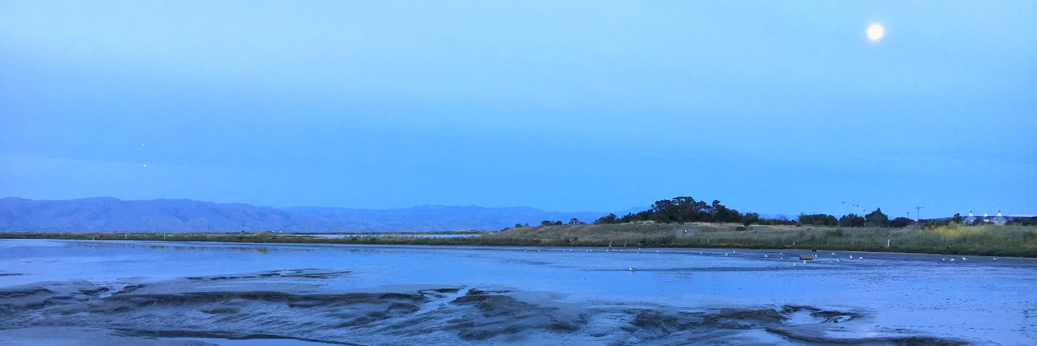 User banner