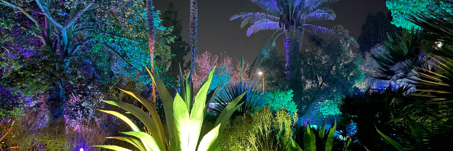 Header Image
