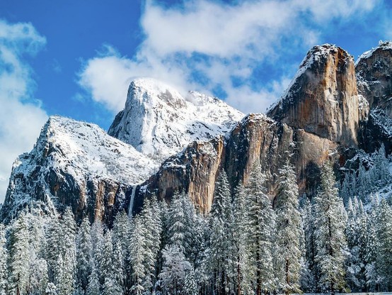 Three Brothers and Bridalveil

Winter in Yosemite Valley often brings out some stunning views. This is an image of the Three Brothers rock formation in Yosemite Valley.
This was captured as a snowstorm was clearing after an overnight storm. 
The foreground consist of snow covered pine trees, mostly Douglass Fir trees. The branches are all weighed down by the heavy, wet snow. 
The Three Brothers rise above the tree line. Snow is covering everything at the higher elevation. There are a couple clouds in the background and one is slightly covering one of the peaks. Behind the clouds is a brilliant blue sky.