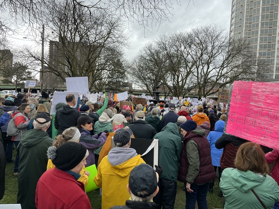 Large pro-democracy demonstration in Syracuse NY.
