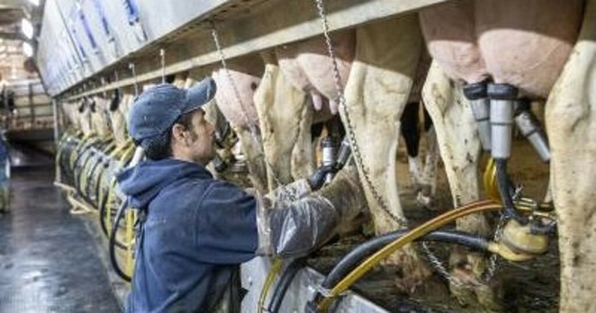 UK bans personal imports of meat, dairy products from all EU countries