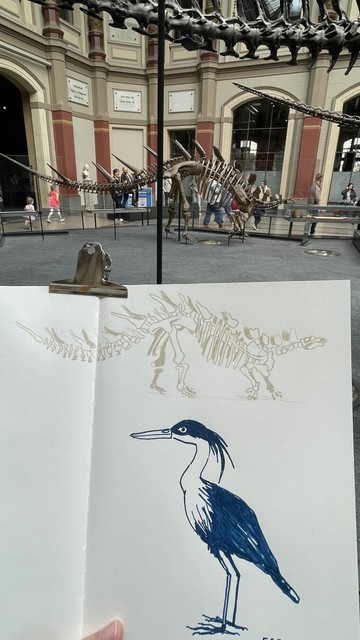 You see an open sketchbook page in from of a dinosaur in a museum. There’re 2 drawings: the same dinosaur on top and on the bottom a sketch of a heron.