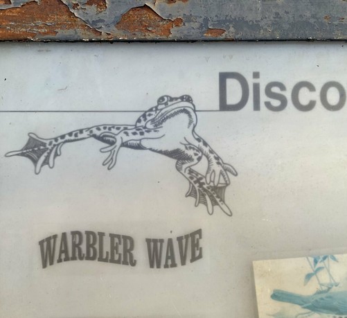 An illustration of a frog with text above him that says ‘Disco’ and text below that says ‘Warbler Wave’