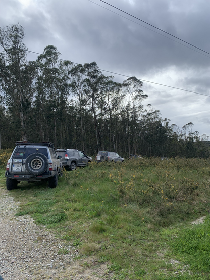 Varios 4x4 en ruta offroad