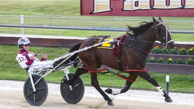 Mick On Monday: Horse wins race he was scratched from