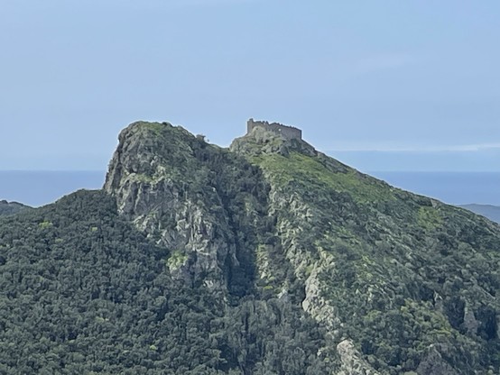 Castle perched on the peak of a shrub-covered rock.