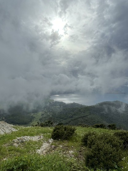 green grass and shrubs growing on gray rock in the foreground, wooded hills in front, glimpse of the shimmering sea through the clouds