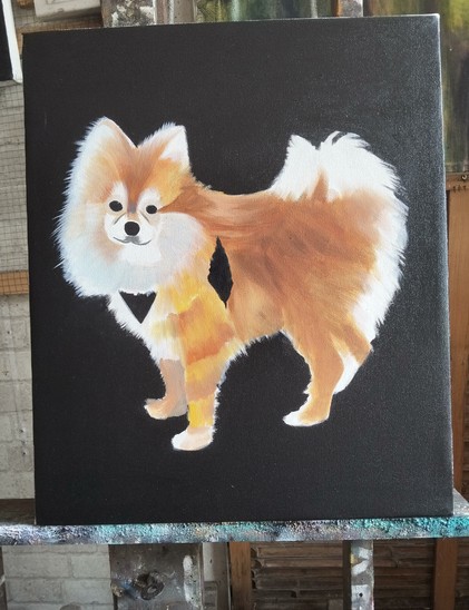 a painting of a gold-tan  and white pomeranian, wearing a black harness, against a black background, it is looking at the viewer, the painting is not detailed yet