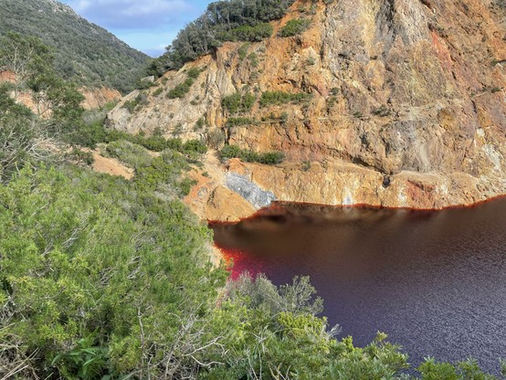 green bushes in the foreground, ochre-colored hills in the background, a bright red lake in the middle