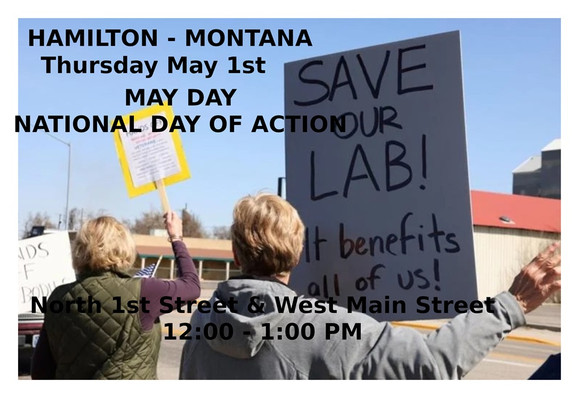 Tomorrow - Thursday, May 1st - 12:00 - 1:00 PM
HAMILTON, MONTANA
May Day: National Day of Action
North 1st Street & West Main Street
https://www.mobilize.us/mobilize/event/781622/
STOP THE BILLIONAIRE TAKEOVER.
WE ARE THE MANY.
THEY ARE THE FEW.
#hamilton #montana #mtpol #mtleg #mtnews #mayday  #mobilize