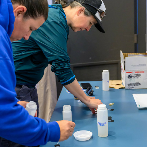Two individuals preparing samples in bottles 
