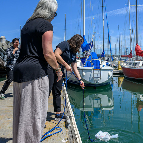 A volunteer collecting algae samples with a net in the Bay