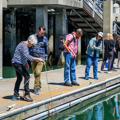 Volunteers and scientists looking at water along a pier while taking algae samples
