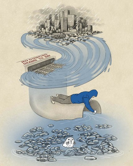 Illustration of a Baykeeper field investigator taking a water sample from urban runoff into the Bay, with a Bay harbor seal in foreground