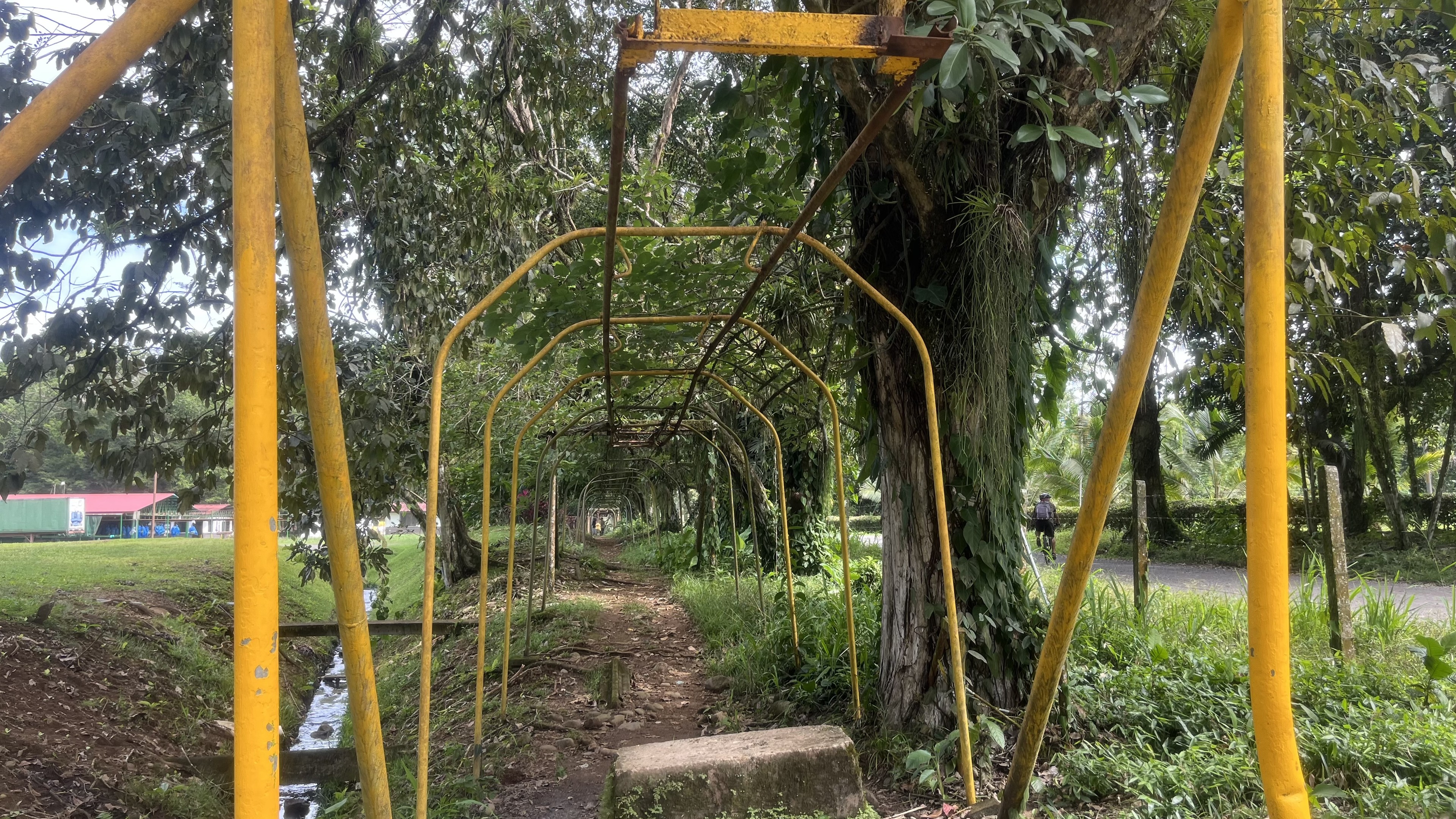 More views of the hanging transport line for bananas