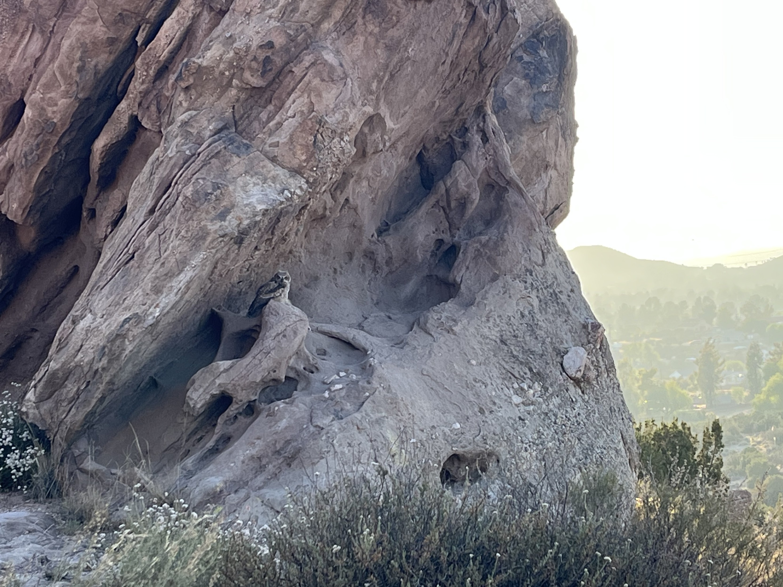 Zooming in on rock formation, an owl is sitting in it Zooming in on rock formation, an owl is sitting in it
