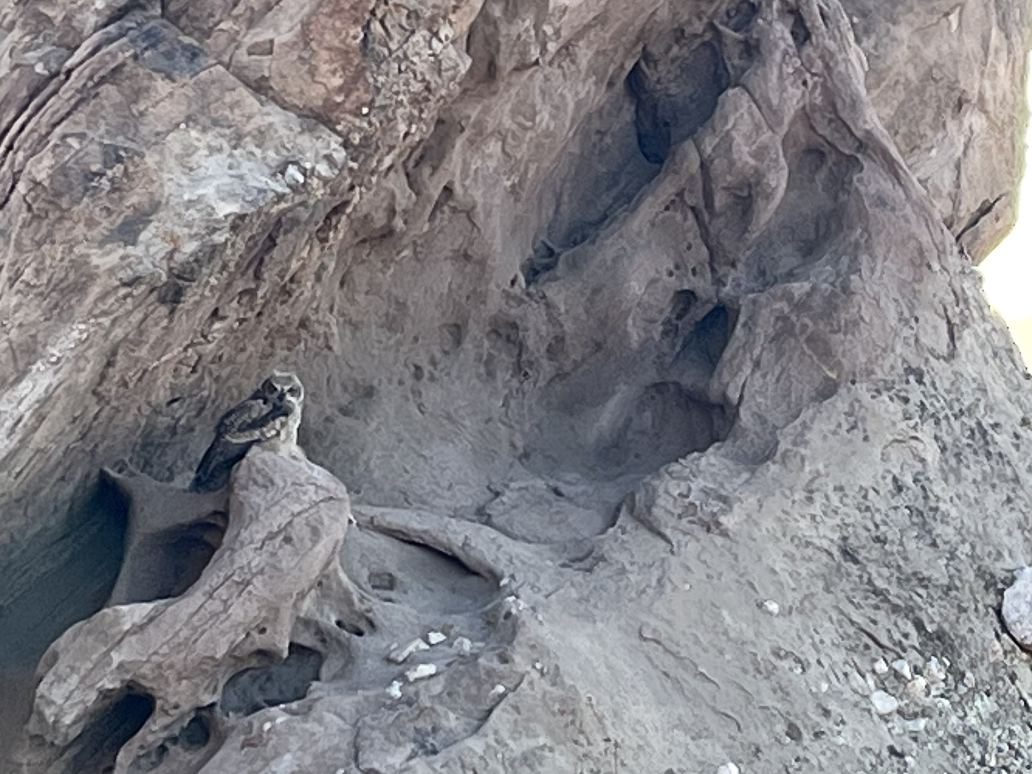 Further zoomed in on owl sitting among rock formation  Further zoomed in on owl sitting among rock formation