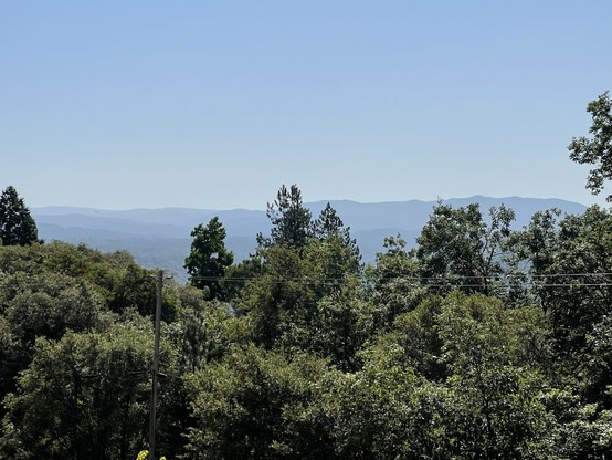 A photo taken in the Sierra foothills, looking roughly south east. In the foreground is a thicket of ponderosa pines and live and black oaks, with a series of hazy blue-grey ridges marching towards the horizon in the background. The highest point on the skyline is Blue Mountain (6000’), in Calaveras County.