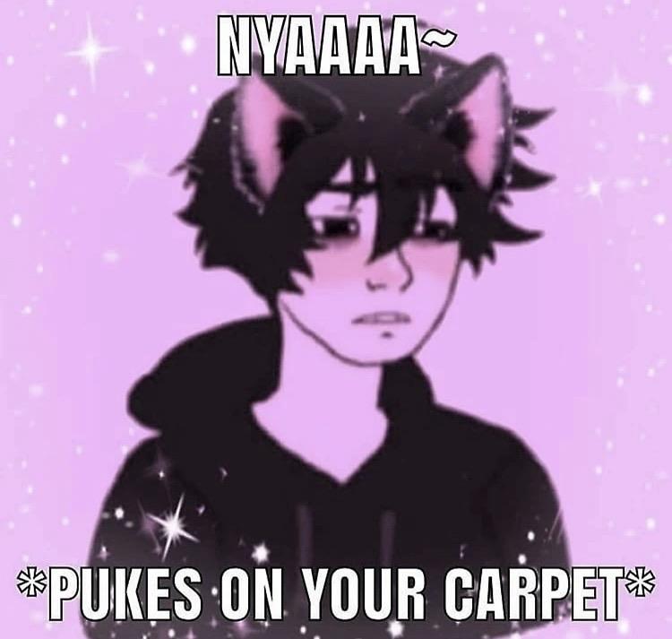 Doomer cat boy says “Nyaaaa~”
*pukes on carpet*