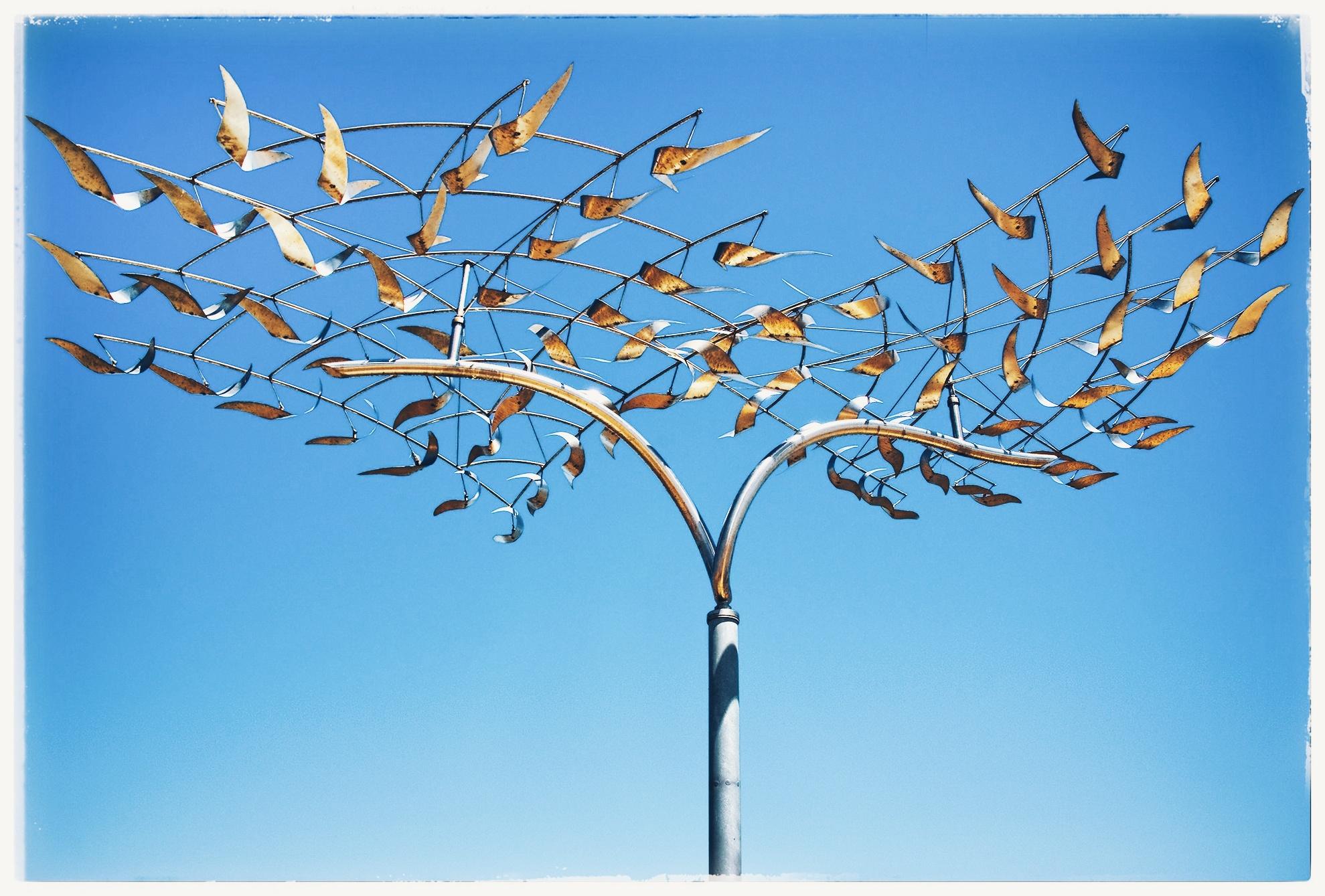 A metal tree sculpture - silver and gold branches and leaves on an aluminum pole - stands tall against a pale blue sky in a park that is totally devoid of real trees. 
Nature is beautiful.