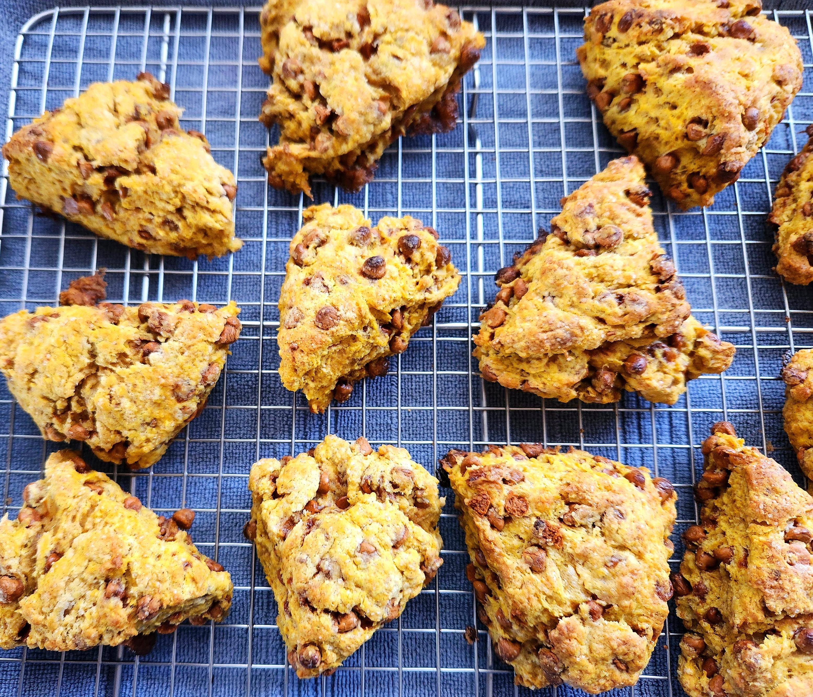 A dozen pumpkin cinnamon chip scones cooling on a wire rack.