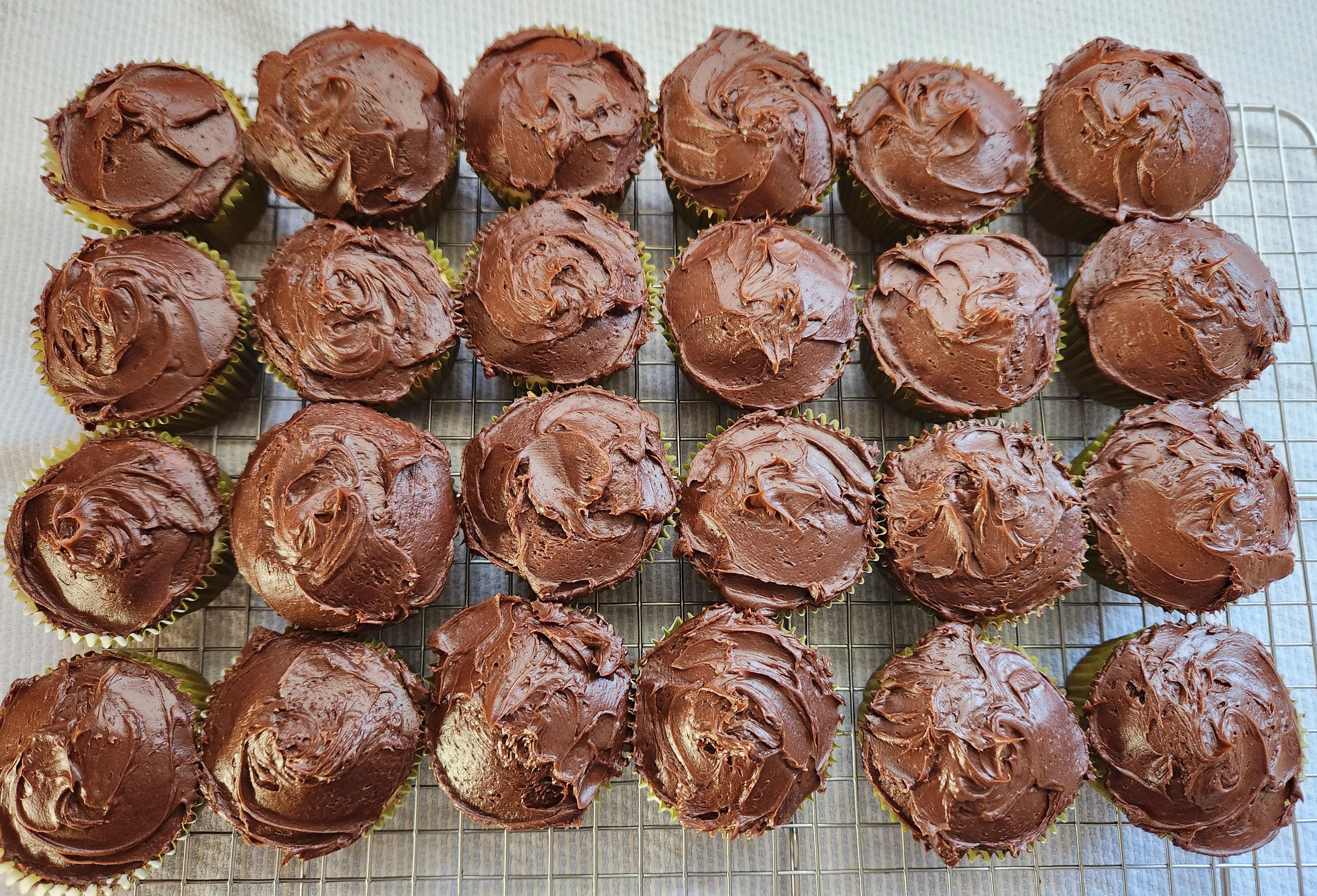 Two dozen cupcakes with chocolate frosting cooled on a wire rack.