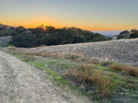 Dry dirt trail from foreground to background on the left side. Some green grass along a hillside of dry brown grass. Center is orange tin tied sky with a cluster of oak trees behind which a setting sun peaks through the tree top