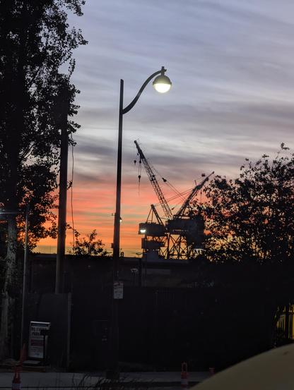 Early morning photo of 2 cranes, with tree branches on either side in silhouette against orange /pink clouds