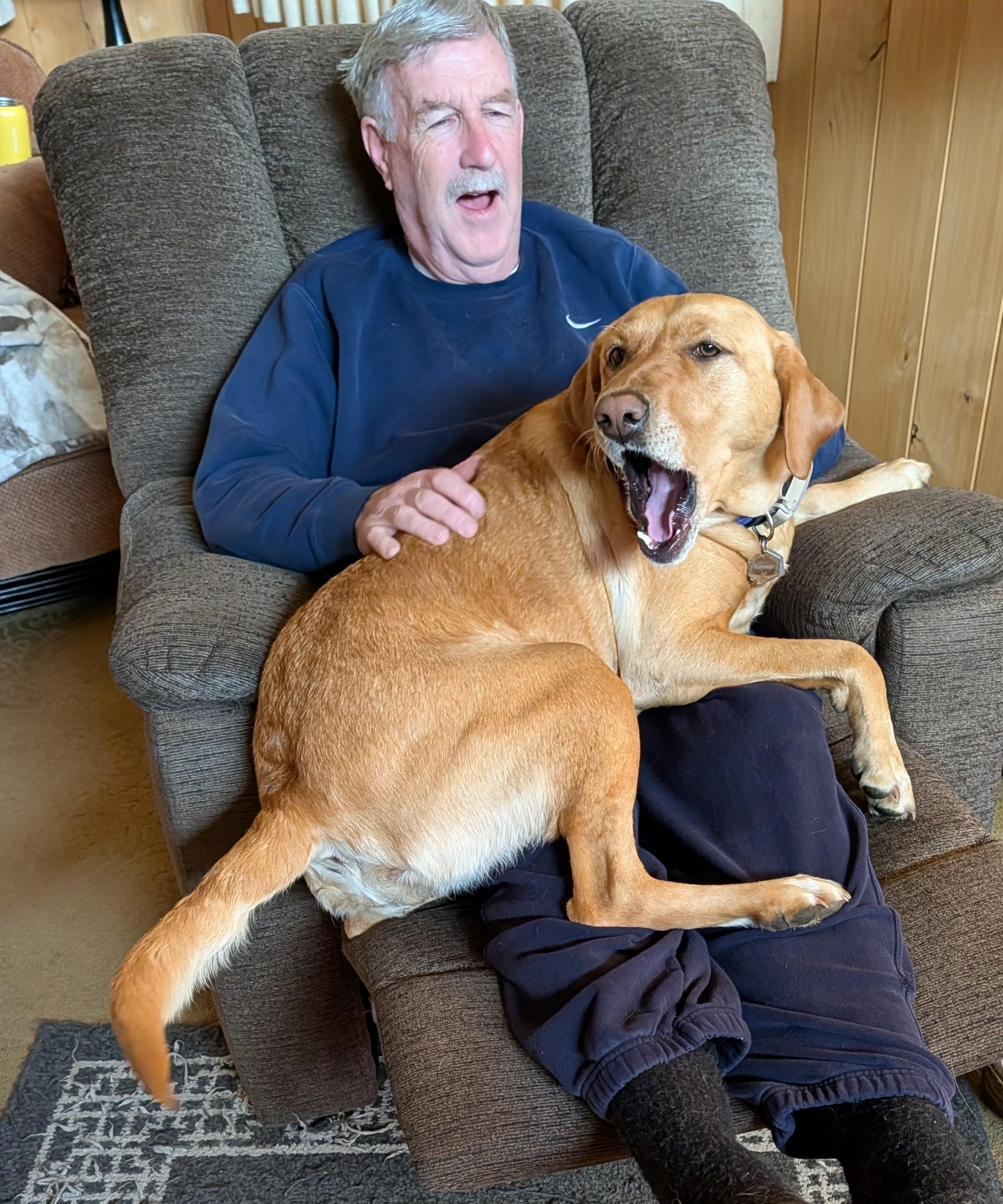 A golden lab is sitting on her humans lap. The human is a gray haired man. They both have their mouth open.