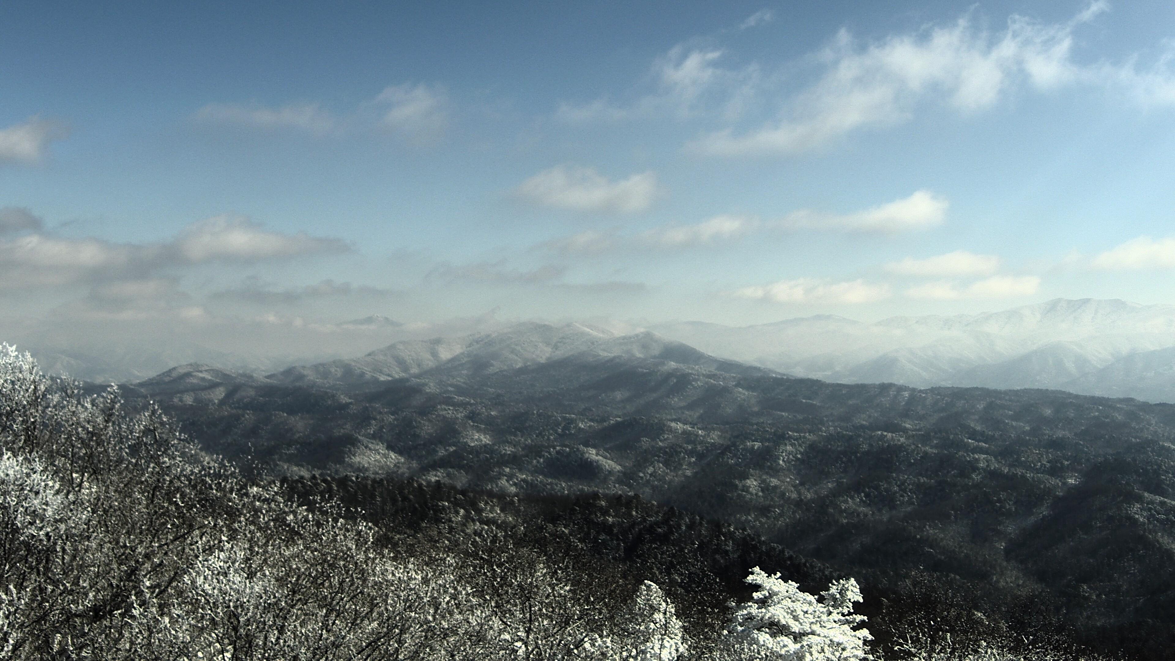 Snow-covered trees lit by the sun in the foreground of this image from the Look Rock Observation Tower in Great Smoky Mountains National Park. The mixture of sun and clouds has created interesting patterns of light and shadow on the mountain slopes behind the trees, almost as if some form of precipitation was falling despite the predominantly blue sky overhead. Some of the slopes have snow and some of the higher peaks, especially those in the distance, appear to be masked by passing clouds. The blue sky, which fills the upper half of the image, has an assortment of white and silver-grey clouds 