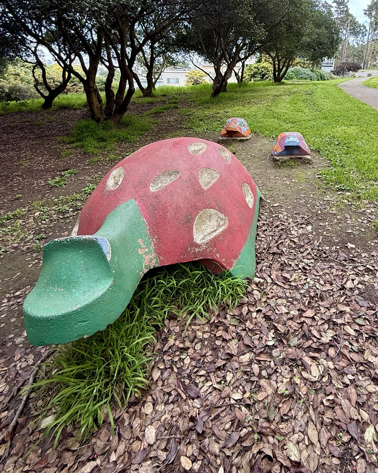 Cement turtles on the grass