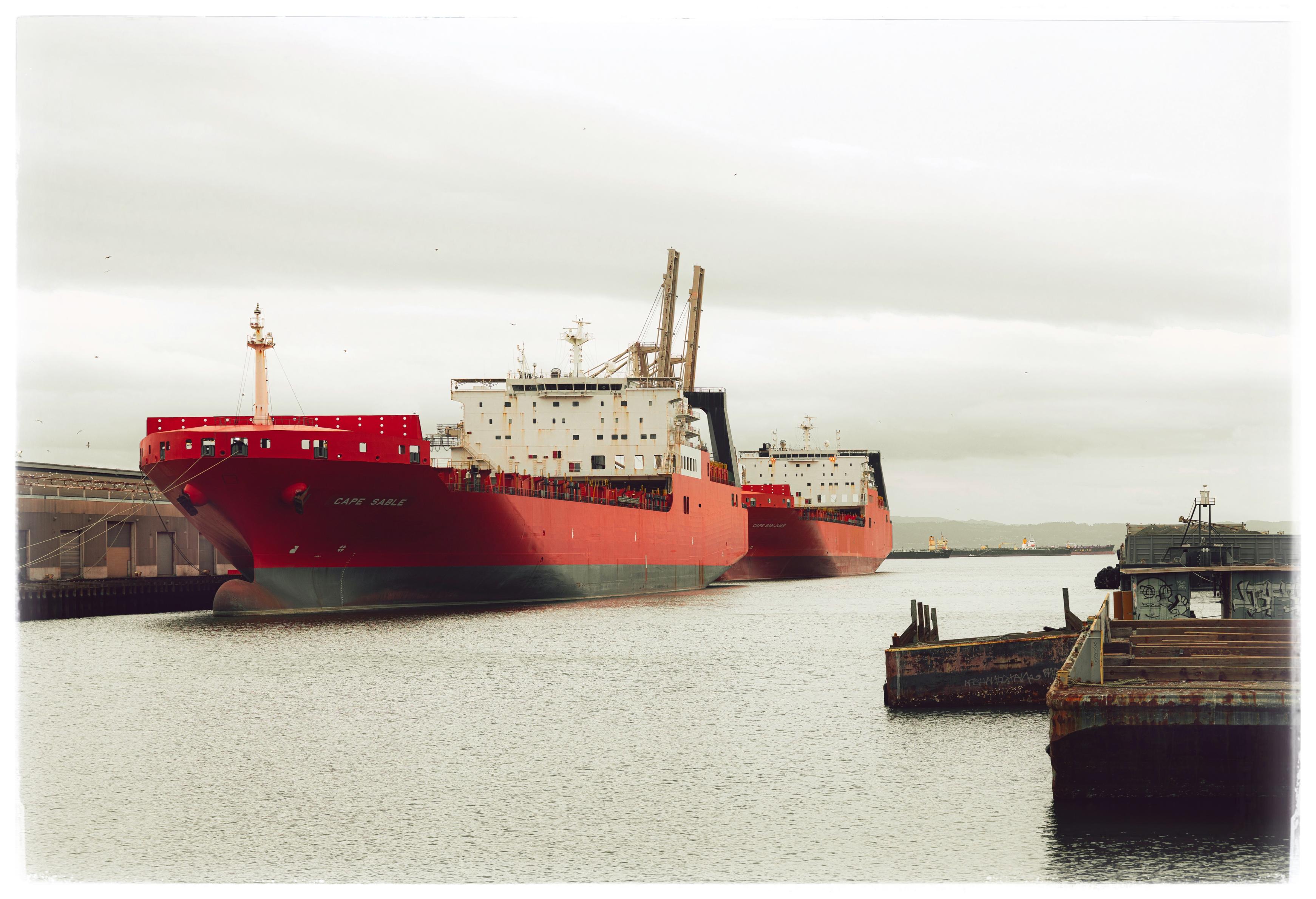 A photo of two large, very red cargo ships parallel parked at a pier, where Islais Creek meets the San Francisco Bay. The overcast sky and the relatively calm waters are brownish. Also brown: the low slung buildings and pier structure on either side of the creek. There are a couple of golden loading cranes in the distance, but that's about it. Just ships and water and sky. No trees.